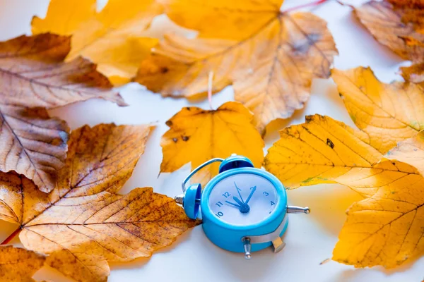 Horloge sur les feuilles d'érable d'automne — Photo