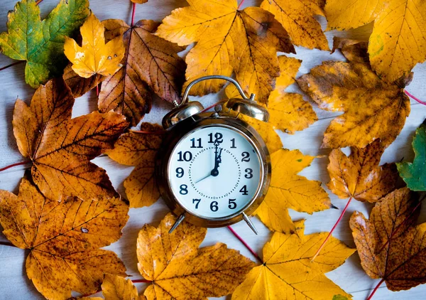 Uhr auf Herbst-Ahornblättern — Stockfoto