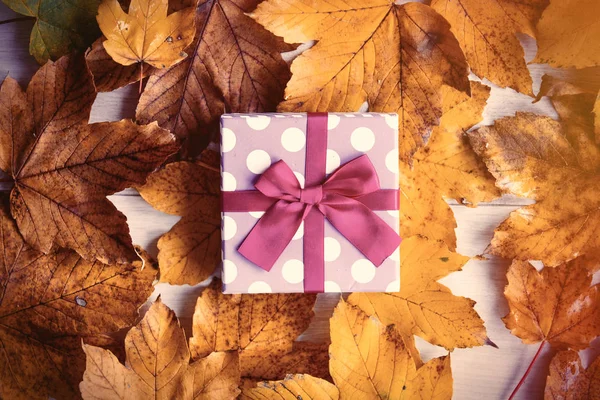 Caja con hojas de arce de otoño — Foto de Stock