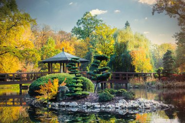Sonbaharda Japon bahçesi