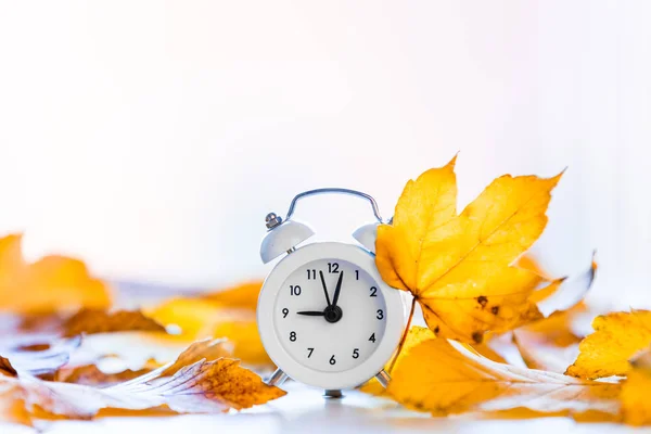 Clock with maple leaves — Stock Photo, Image