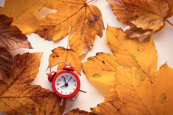 Relógio no outono folhas de bordo — Fotografia de Stock