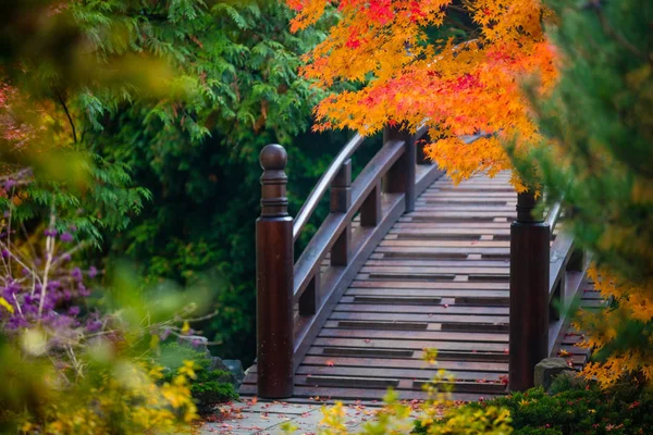 Ponte in legno nel giardino giapponese — Foto Stock