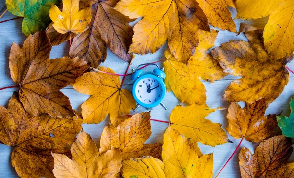 Clock on autumn maple leaves — Stock Photo, Image