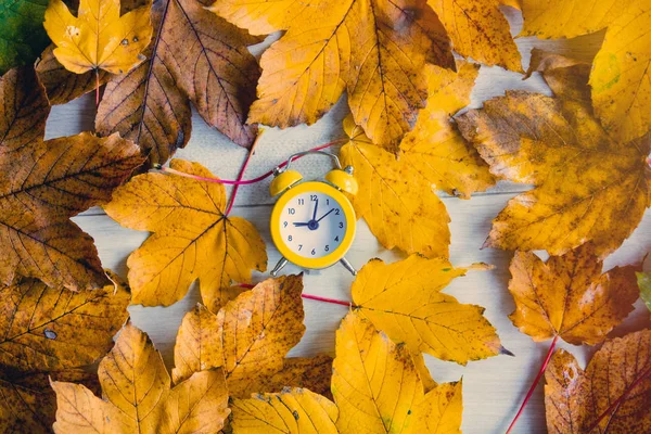 Clock on autumn maple leaves — Stock Photo, Image