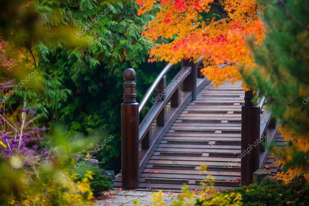 Puente de madera en jardín japonés: fotografía de stock