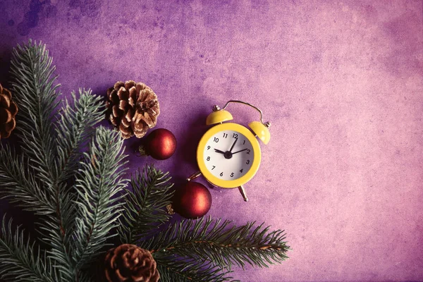 Alarm clock and pine branch — Stock Photo, Image