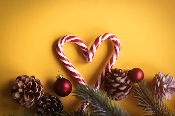 Lolipop et branche de Noël — Photo