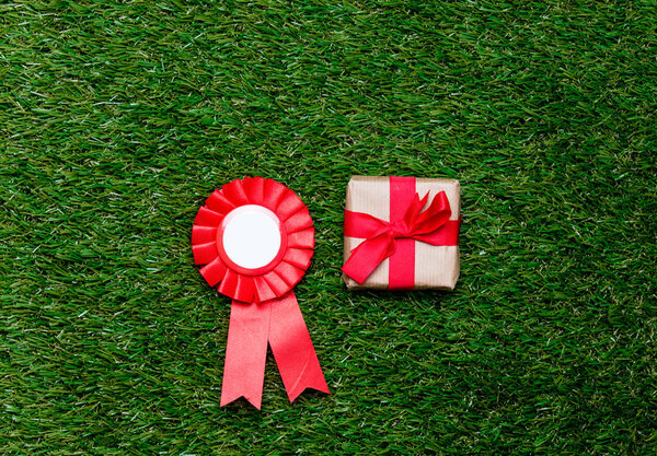 Red reward and gift box on green grass background, 