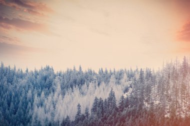 Sunset bulvarında kış dağlar Tatry, Polonya görüntüleme