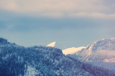 Polonya 'nın Tatry kentindeki kış dağlarına bak 