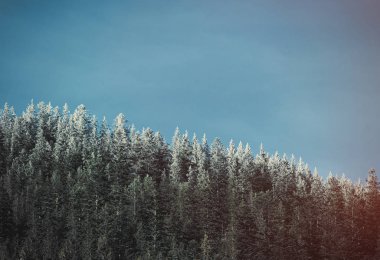 Polonya 'nın Tatry kentindeki kış dağlarına bak 
