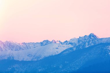 Polonya 'nın Tatry kentindeki kış dağlarına bak 