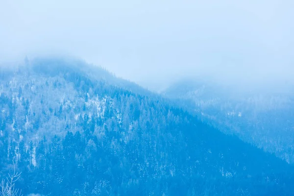 폴란드의 티 리에 있는 겨울 산들을 바라봄 — 스톡 사진