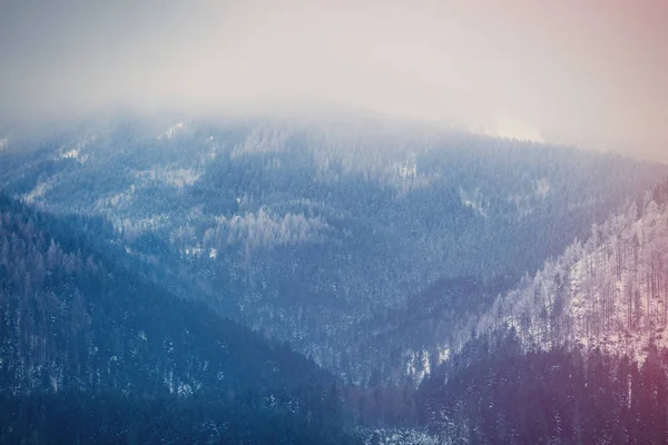 Θέα στα χειμερινά βουνά Tatry, Πολωνία — Φωτογραφία Αρχείου