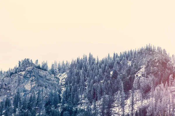 Θέα στα χειμερινά βουνά Tatry, Πολωνία — Φωτογραφία Αρχείου