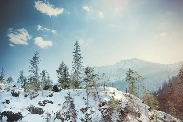 Vista al atardecer en las montañas de invierno Tatry, Polonia — Foto de Stock