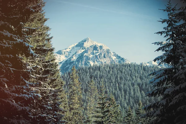 Kilátás a téli hegyekre Tatry, Lengyelország — Stock Fotó