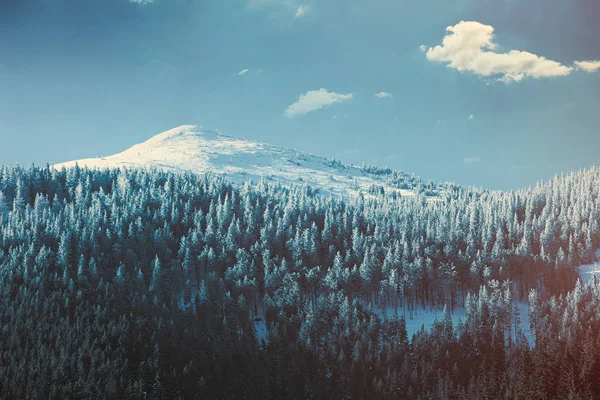 폴란드의 티 리에 있는 겨울 산들을 바라봄 — 스톡 사진