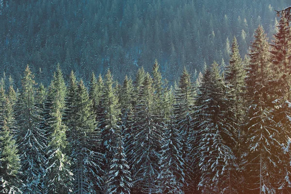 Θέα στα χειμερινά βουνά Tatry, Πολωνία — Φωτογραφία Αρχείου