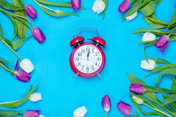 Clock and tulips — Stock Photo, Image
