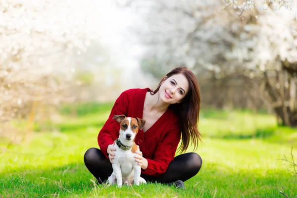 Красива жінка з собакою — стокове фото