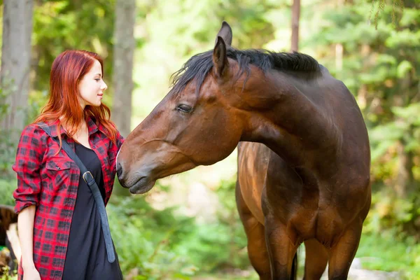 女性の素晴らしい馬に触れる — ストック写真