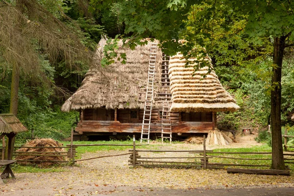 Красивый вид на сельский дом — стоковое фото