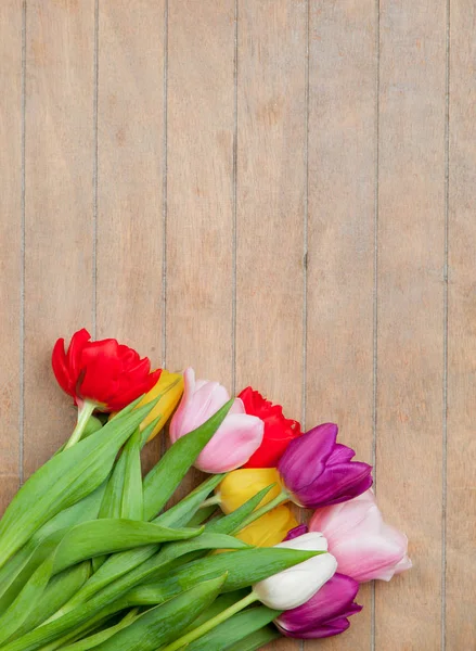 Belo bando de tulipas coloridas — Fotografia de Stock