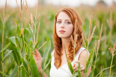 büyüyen buğday duran güzel genç kadın fotoğrafı