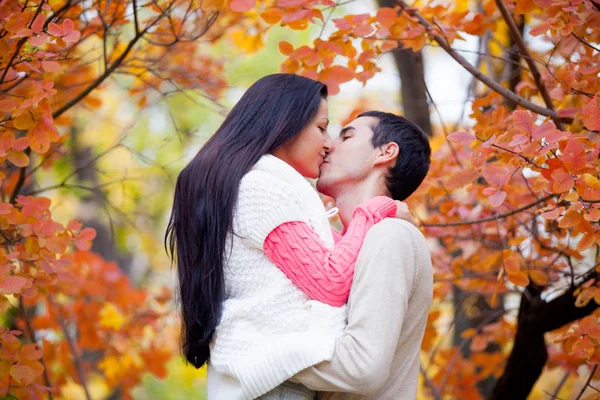 Foto di coppia carina baciare sul meraviglioso parco autunnale backgr — Foto Stock