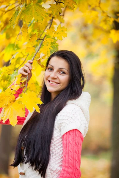 Foto de la hermosa mujer joven de pie cerca de maravilloso tr amarillo —  Fotos de Stock