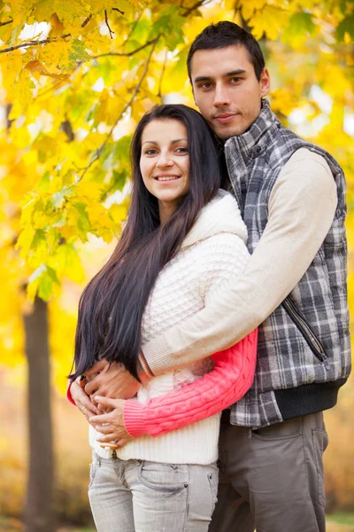 Foto de la linda pareja abrazándose en los maravillosos árboles amarillos espalda —  Fotos de Stock