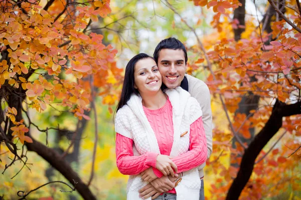 Foto de la linda pareja abrazándose en los maravillosos árboles amarillos espalda —  Fotos de Stock