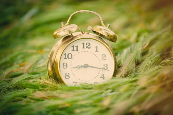 Golden alarm clock — Stock Photo, Image