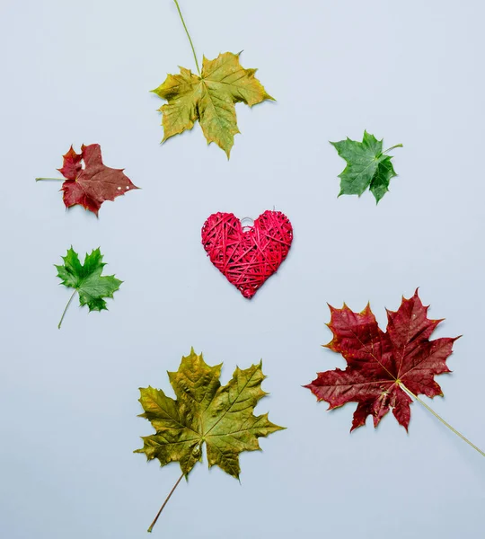 Hojas de otoño y regalo en forma de corazón —  Fotos de Stock