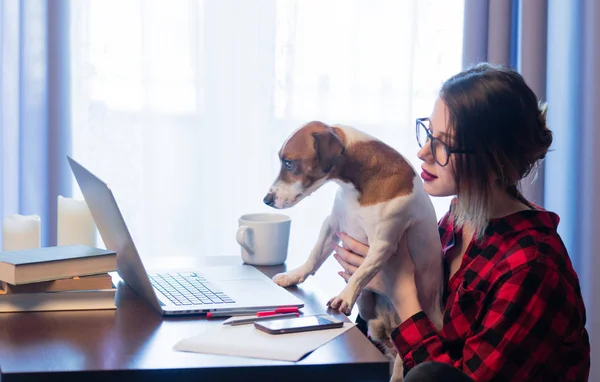 Geschäftsfrau mit Hund zu Hause — Stockfoto
