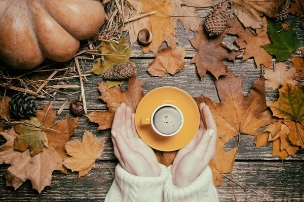 Female holding cup of coffee — Stock Photo, Image