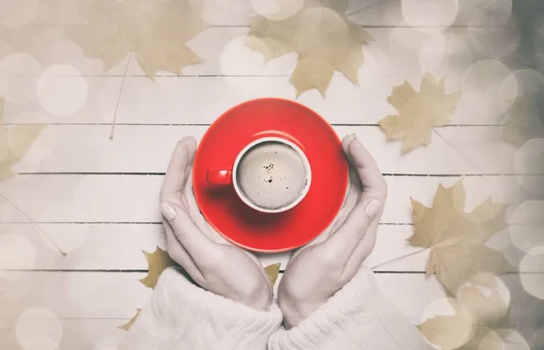 Mãos femininas segurando xícara de café — Fotografia de Stock