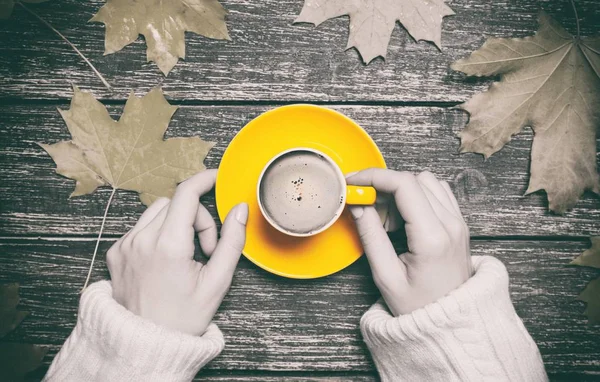 Female hands holding cup of coffee — Stock Photo, Image