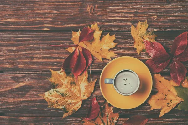 Autumn leaves and coffee cup — Stock Photo, Image