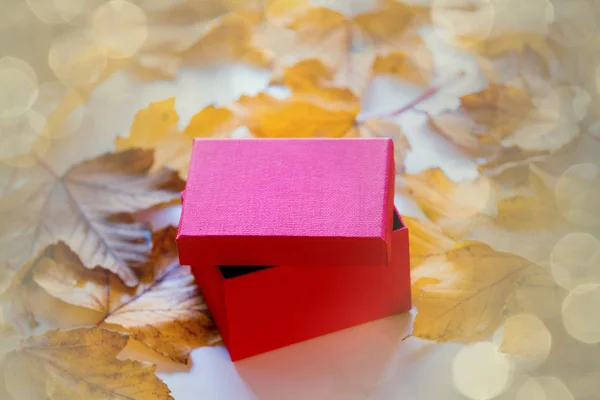 Caja de regalo con hojas de otoño — Foto de Stock