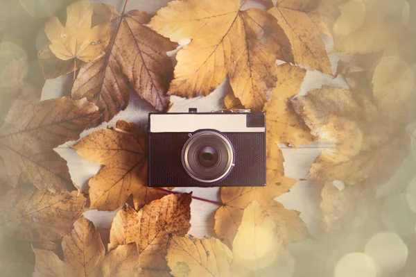 Camera with autumn leaves — Stock Photo, Image