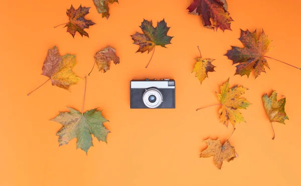 Vintage fotoğraf makinesi ile sonbahar yaprakları — Stok fotoğraf