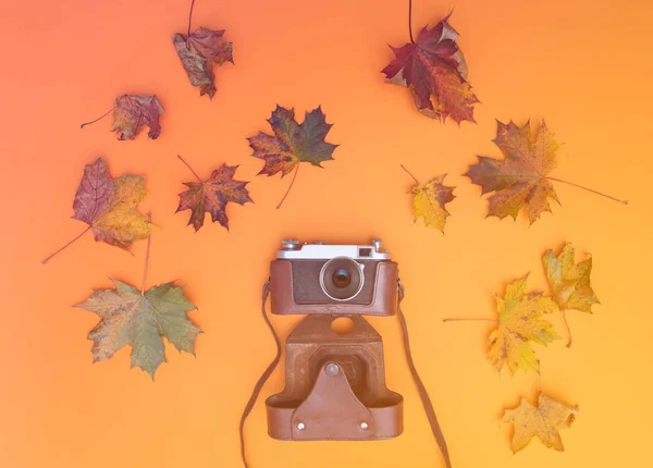 Câmera vintage com folhas de bordo — Fotografia de Stock