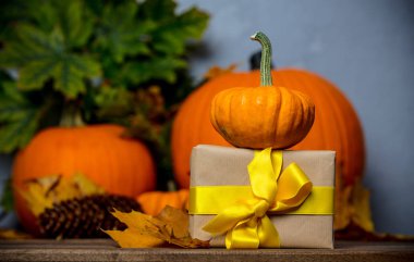 hediye kutusu ve küçük kabak