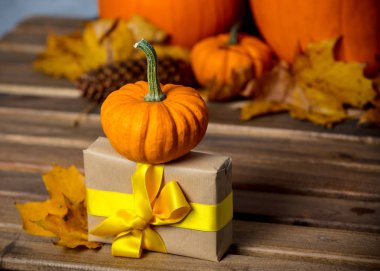 hediye kutusu ve küçük kabak