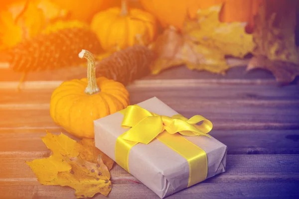 Gift box and small pumpkin — Stock Photo, Image