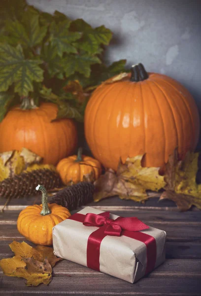 hediye kutusu ve küçük kabak