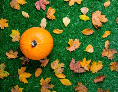 Turuncu kabak ve kuru akçaağaç yaprakları